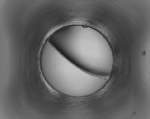 X0000097661430200802290911