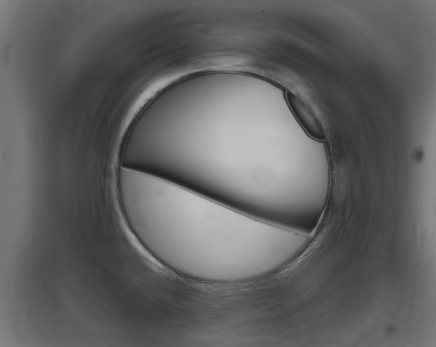 X0000097661432200802290911