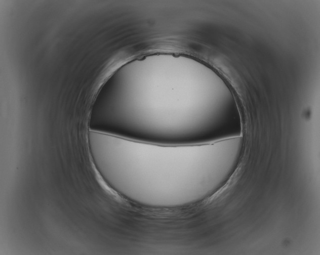 X0000097661433200802290911