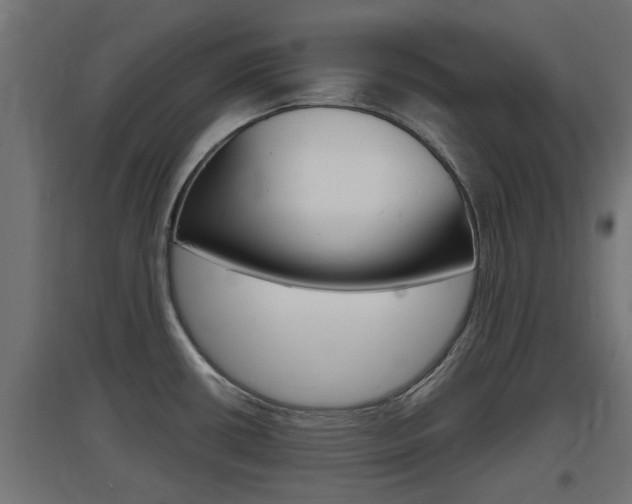 X0000097661434200802290911