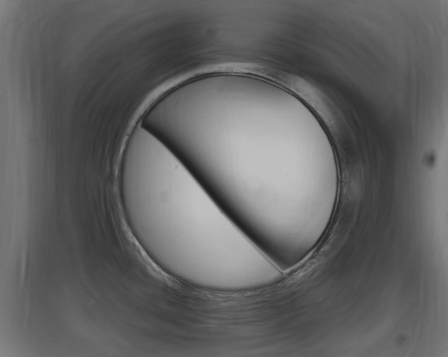 X0000097661436200802290911