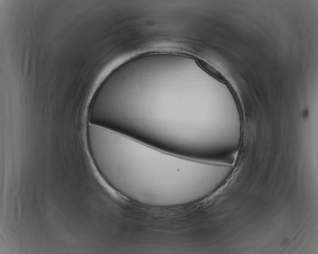 X0000097661437200802290911