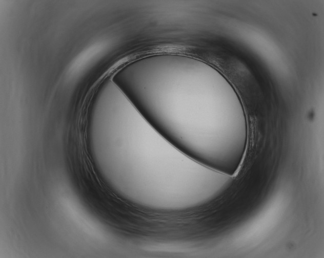 X0000097661438200802290911