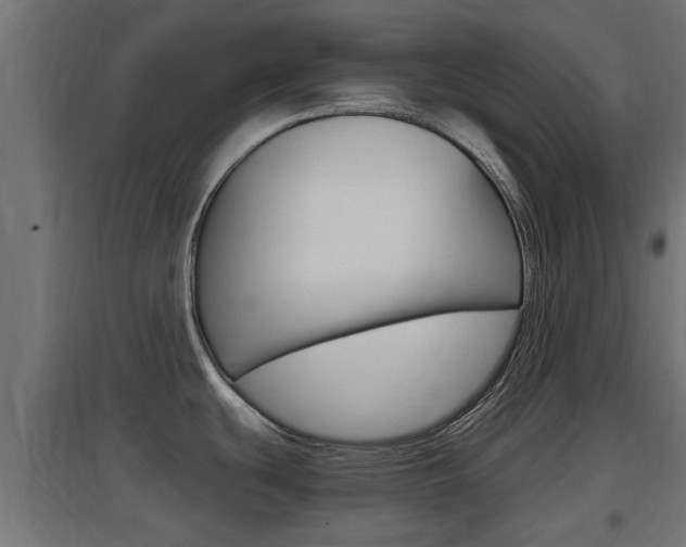 X0000097661439200802290911
