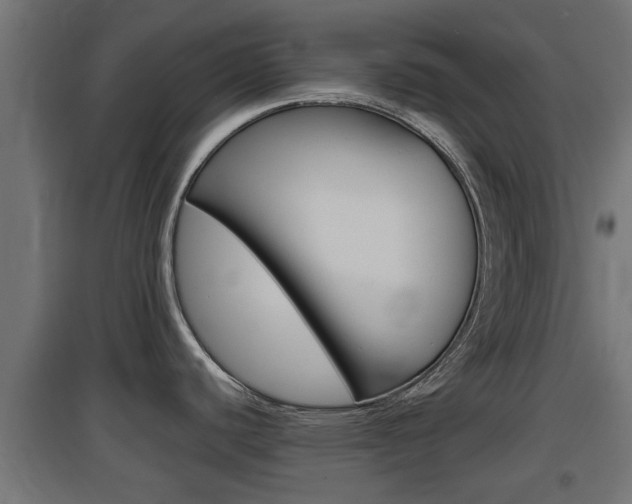X0000097661440200802290911