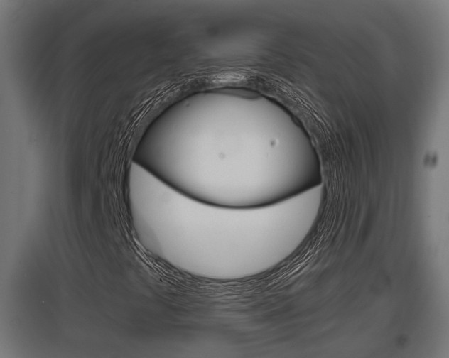 X0000097661441200802290910