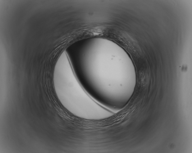 X0000097661442200802290910