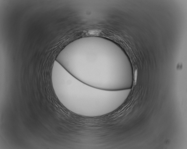X0000097661443200802290910
