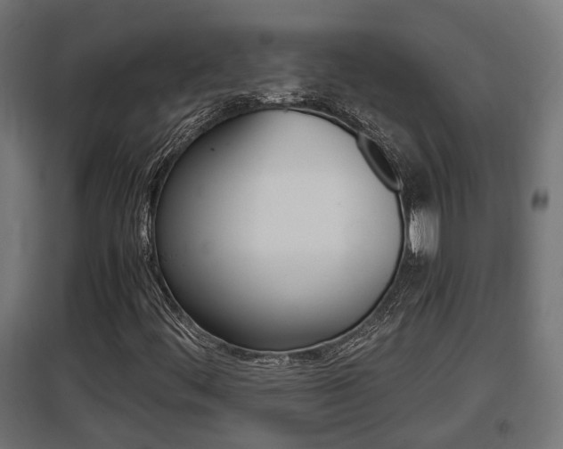 X0000097661444200802290910