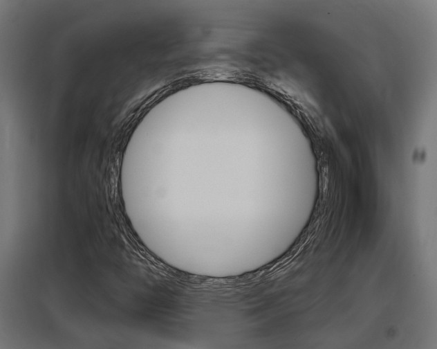 X0000097661446200802290910