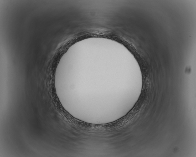 X0000097661447200802290910