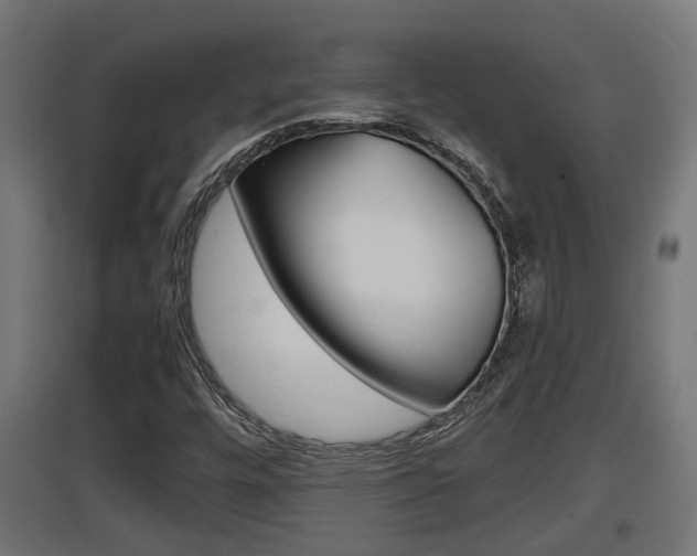 X0000097661448200802290910