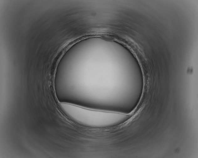 X0000097661449200802290910