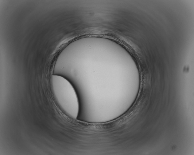 X0000097661451200802290910