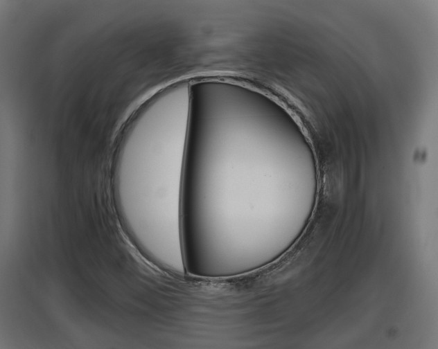 X0000097661452200802290910