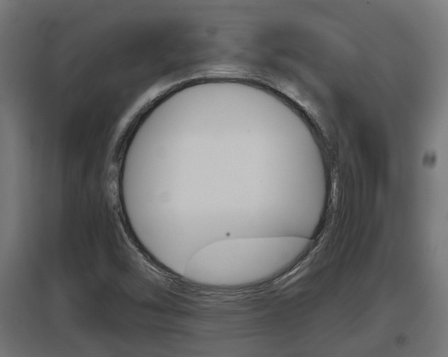 X0000097661454200802290910
