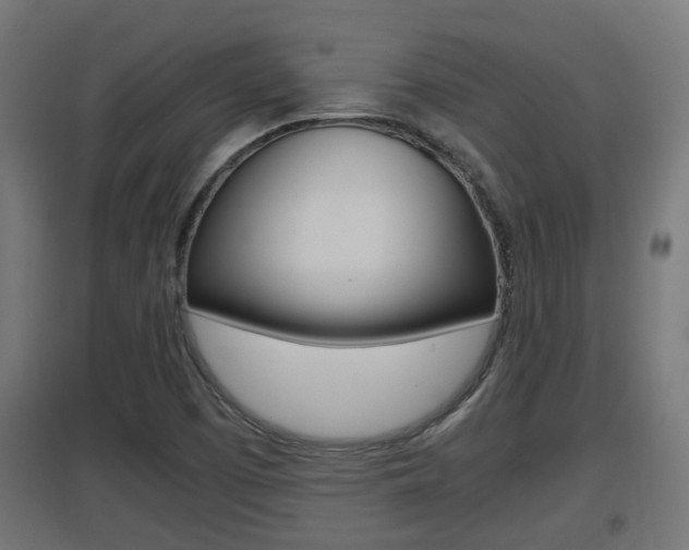 X0000097661457200802290910