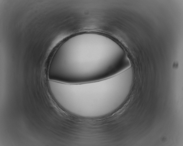 X0000097661458200802290910