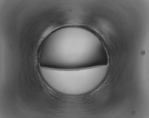 X0000097661459200802290910