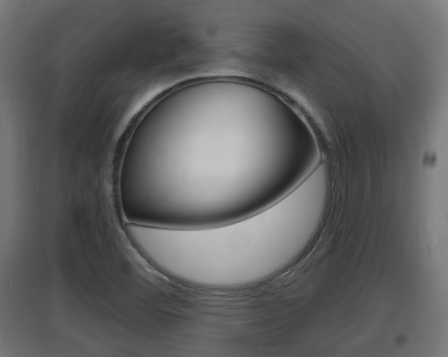 X0000097661460200802290910