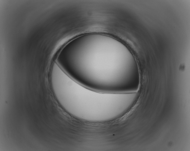 X0000097661461200802290910