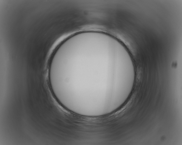 X0000097661462200802290910