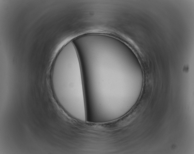 X0000097661463200802290910