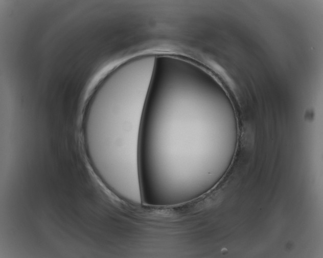 X0000097661464200802290910