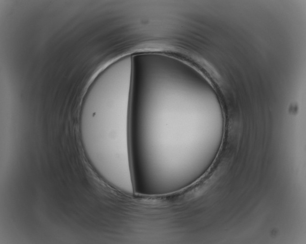 X0000097661465200802290910