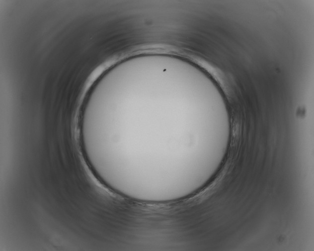 X0000097661466200802290910