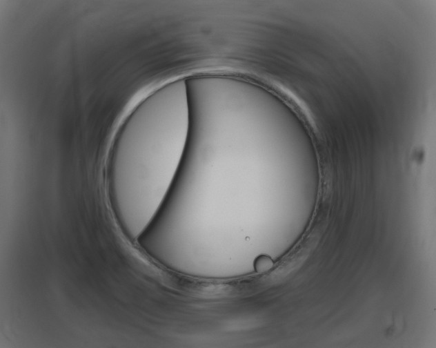 X0000097661467200802290910