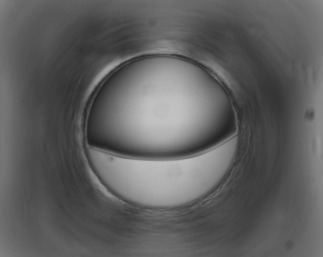 X0000097661468200802290910