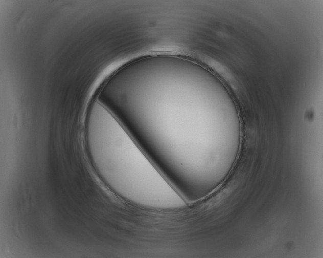X0000097661469200802290910