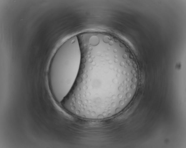 X0000097661471200802290910