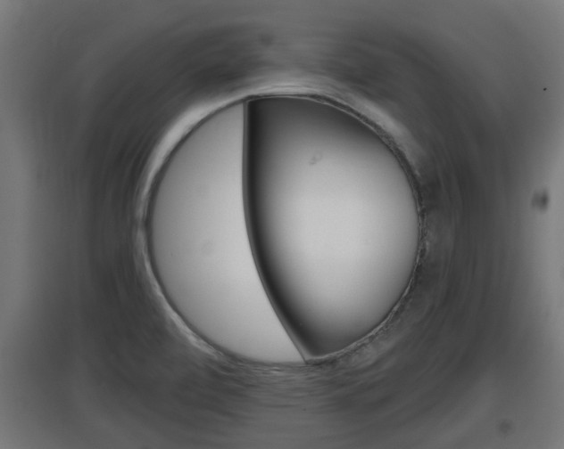 X0000097661472200802290910