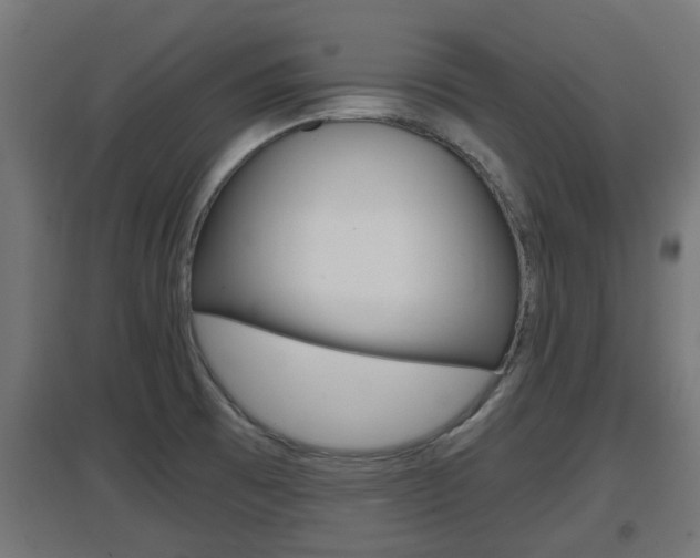X0000097661473200802290910