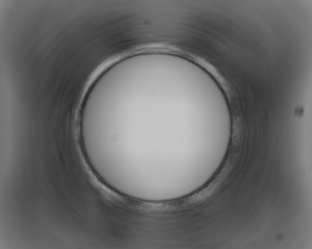X0000097661474200802290910
