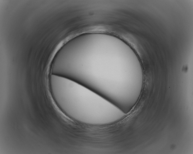 X0000097661475200802290910
