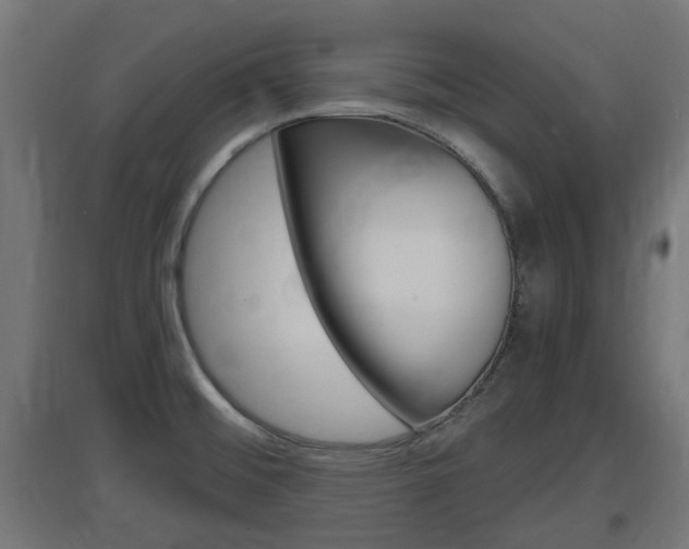 X0000097661476200802290910