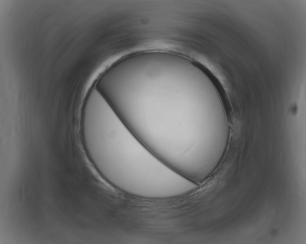 X0000097661477200802290910