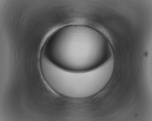 X0000097661480200802290910