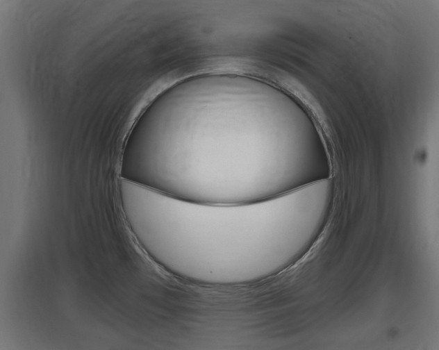 X0000097661481200802290910