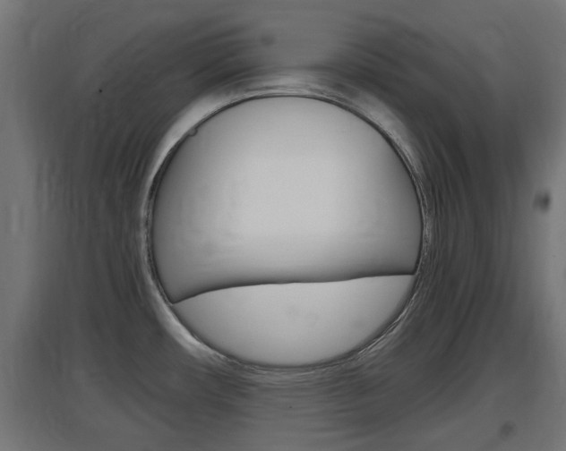 X0000097661482200802290910