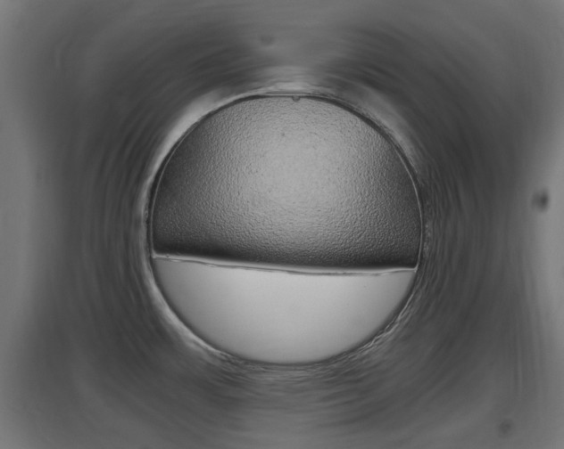 X0000097661483200802290910