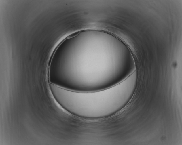 X0000097661484200802290910