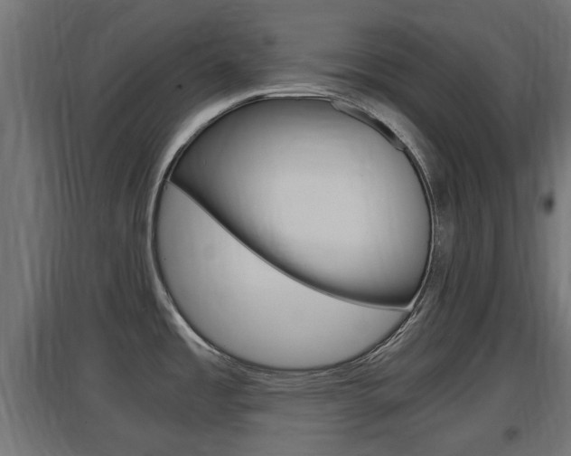 X0000097661485200802290910