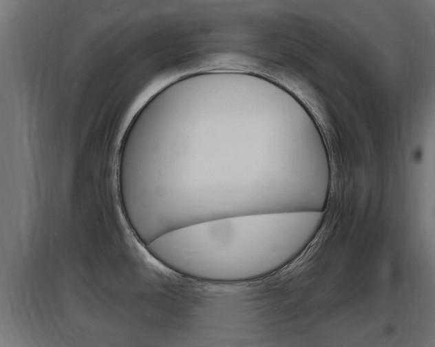 X0000097661486200802290910