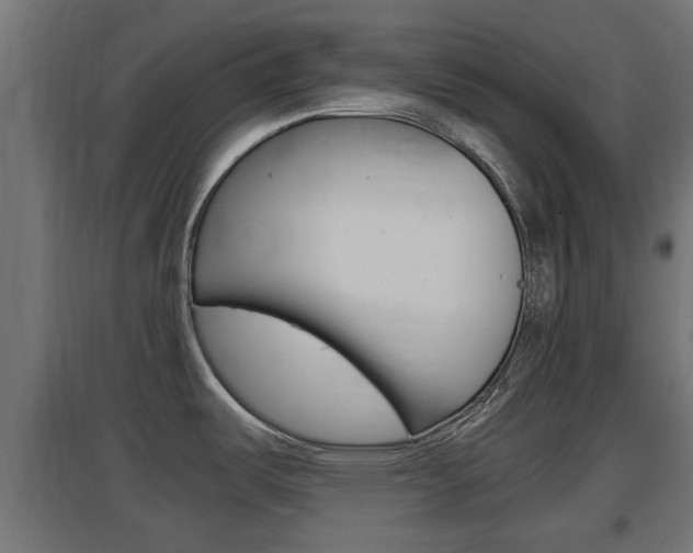 X0000097661487200802290909