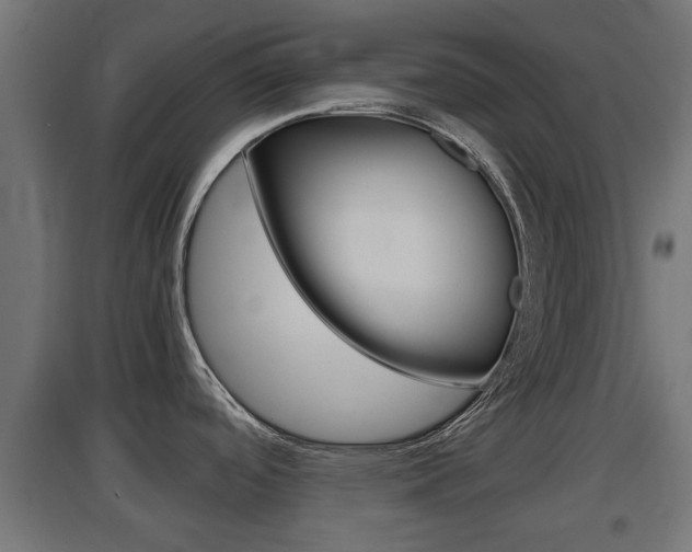 X0000097661488200802290909