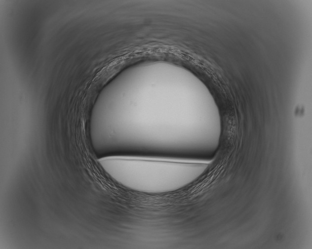 X0000097661489200802290909